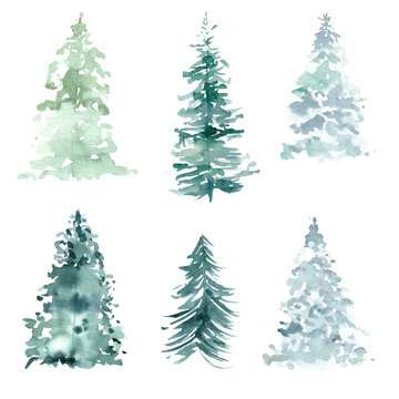 Watercolor pine trees clipart. Hand painted illustration for winter and christmas graphics, invitations, cards.