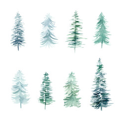 Pine trees watercolor clipart isolated on white background. Winter Christmas hand painted illustration.