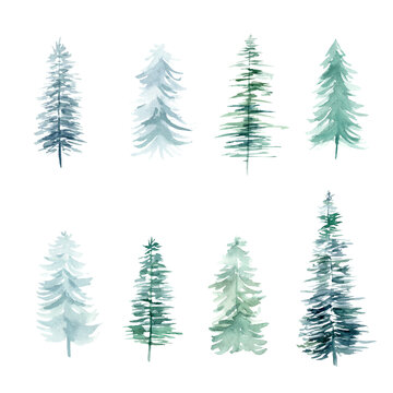 Pine Tree Clipart Stock Photos And Royalty Free Images Vectors And Illustrations Adobe Stock