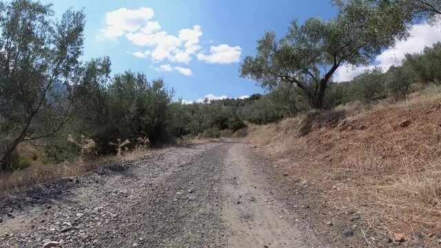 Driving down a bumpy mountain road on a hot summer day
