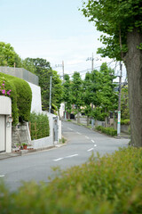 住宅地の道
