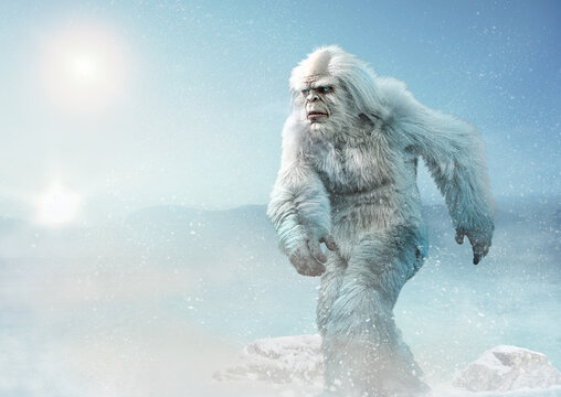 Yeti Images – Browse 28,823 Stock Photos, Vectors, and Video
