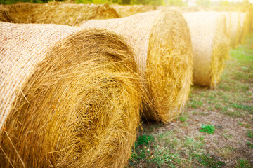 Hay bales close up on a Sunny day. High quality photo