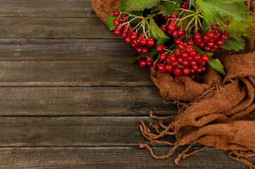 Top view of fresh and ripe viburnum berries and brown scarf on the rustic wooden surface.Empty space