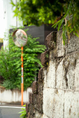 世田谷区代田の住宅街