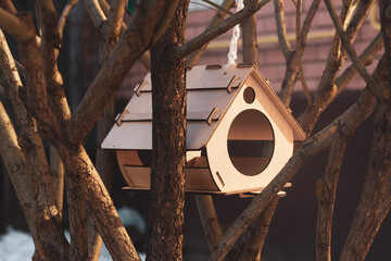Bird feeder hanging on a tree.
