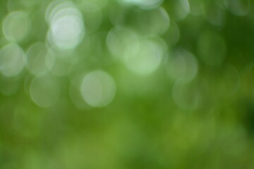 Obraz premium green bokeh background