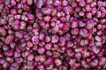 red onions on marker shelf background