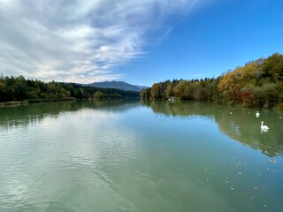 lake and forest in autumn