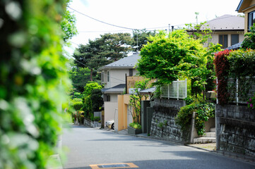 Fototapeta na wymiar 石神井町の住宅街