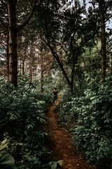 Blonde woman dressed in jeans and black t-shirt walking on a dirt path in mystical looking forest