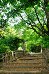 石神井公園