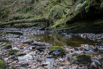 Naklejka na ściany i meble Stream in a forest with mossy rocks and a fallen tree