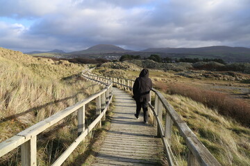 A person walking along the wooden boardwalk between the sand dunes at Dyffryn Ardudwy, Gwynedd, Wales, UK.