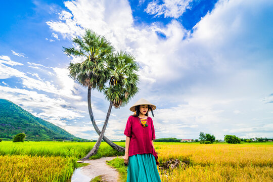 Vietnamese girl in dark red and bottle green traditional costume dress with conical hat walking on yellow green rice field and two palm trees, Ba Den mountain, blue sky in background.