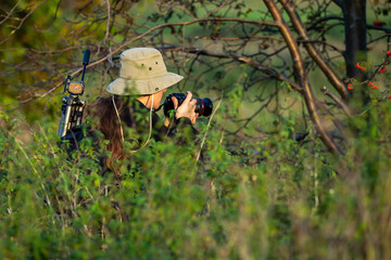 photographer taking pictures of wildlife
