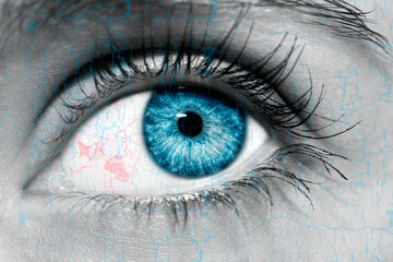 A beautiful insightful look woman's eye. Close up shot.