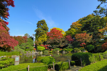 Obraz premium もみじ公園