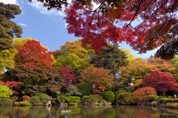 もみじ公園