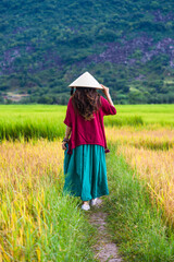 Vietnamese girl in dark red and bottle green traditional costume dress with conical hat walking on yellow and green rice field.