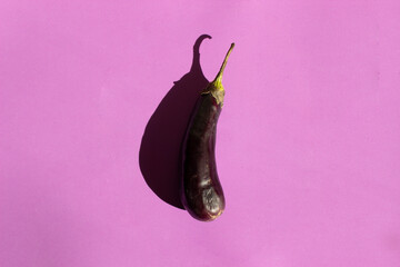 Fresh eggplant isolated on purple background. Still life photography. Fruit pattern.