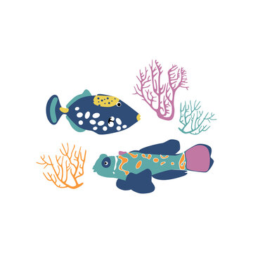 Hand drawn vector color illustration of ocean fishes and corals. Underwater life. Isolated objects on white background.