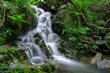 waterfall in the forest