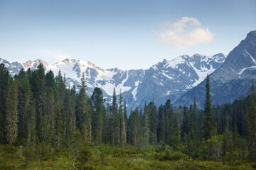 Morning landscape with forest and mountains, Russia, Altai.