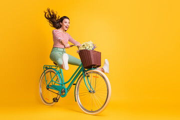 Full length body size photo of funny girl shouting riding bicycle keeping legs up isolated on vivid...