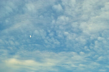 雲