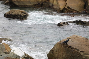 부산 용궁사 바닷가