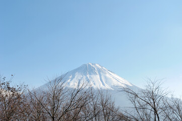 冠雪した富士山