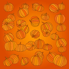 Hand drawn pumpkins of different sizes scattered on orange background. Vector illustration.