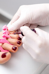 Manicure master is painting on female toenails with maroon nail polish by brush wearing white gloves