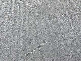 gray concrete texture