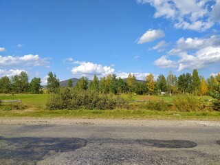 landscape with trees