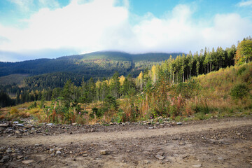 Fototapeta na wymiar Ukrainian mountains of the Carpathians in autumn.