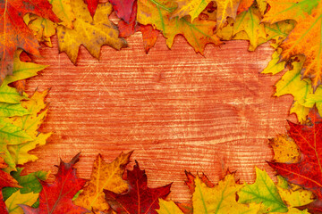Naklejka na ściany i meble Autumn frame for your idea and text