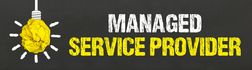 Managed Service Provider 