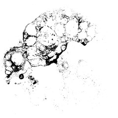 Vector grunge texture 1