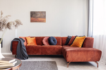 Pillows and blanket on modern sofa in bright living room interior