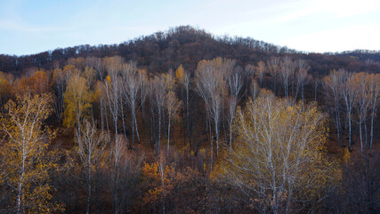 autumn in the mountains