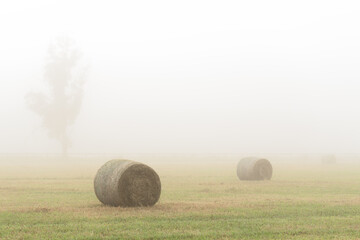 Hay bales in a foggy field in country NSW Australia