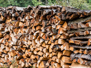 Frisch gesägtes und aufgesetztes Brennholz auf Wiese im Herbst