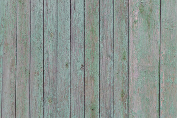 Background from old crumbling painted wooden boards. Wooden background with peeling dried green paint. Old fence made of vertical wooden boards. Background for the designer.