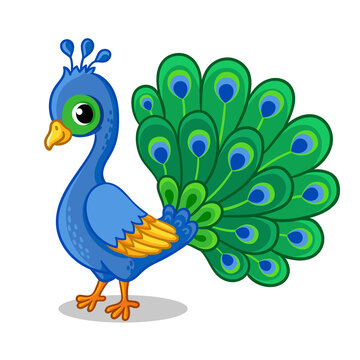 Cute beautiful blue peacock on a white background. Vector illustration with a bird.