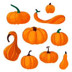 Orange and drawn pumpkins isolated on white background