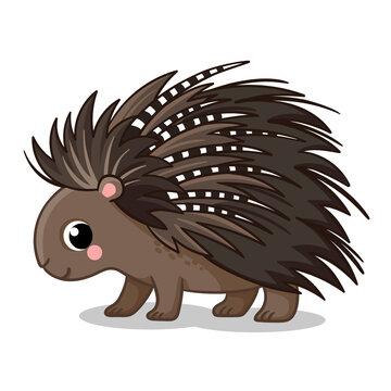 A cute porcupine stands. Vector illustration in cartoon style.