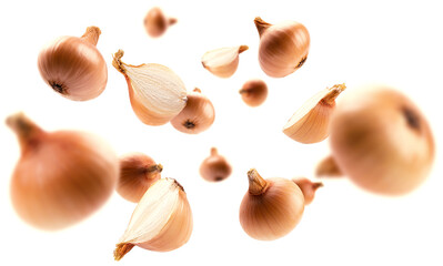 Ripe Golden onion levitates on a white background