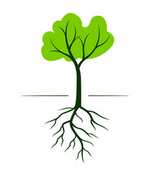 Green Tree with Roots. Vector outline Illustration. Plant in Garden.